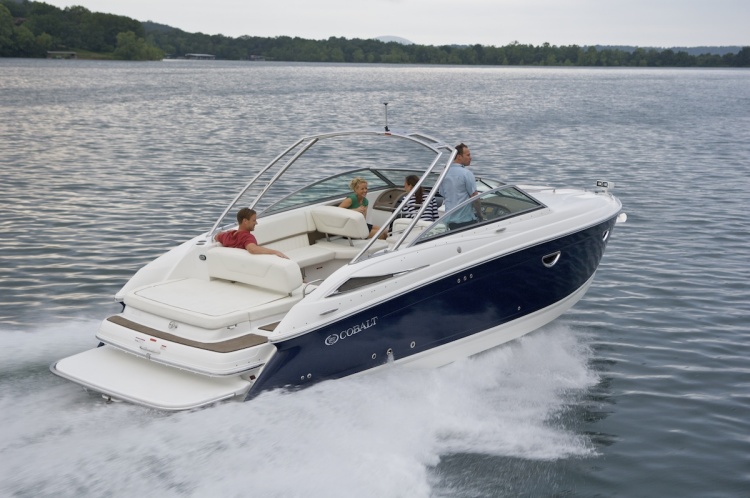 Cobalt 303